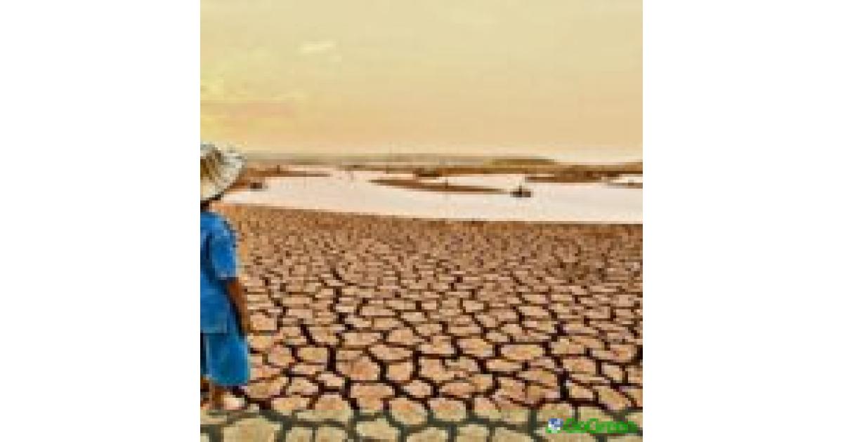 «Η Κύπρος βιώνει στο μέγιστο τις επιπτώσεις»: Τόνισε η Υπουργός για τις ξηρασίες και τις υψηλές θερμοκρασίες