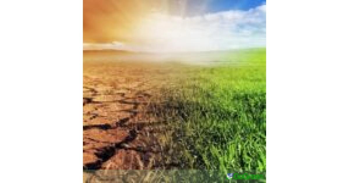 «Η φύση δεν είναι πολυτέλεια»: Μήνυμα του ΕΟΠ από την Κύπρο για άμεση δράση στο περιβάλλον