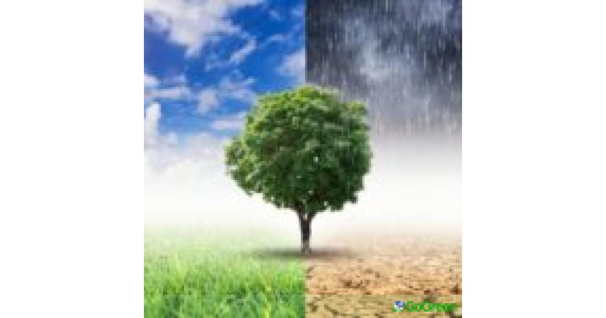 COP30 στον Αμαζόνιο: Το τροπικό δάσος στο επίκεντρο και οι αναταράξεις της διεθνούς κοινότητας