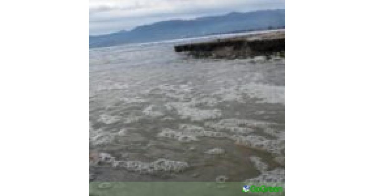 Για θαλάσσια ρύπανση στη Λεμεσό συζήτησε η Επιτροπή Περιβάλλοντος