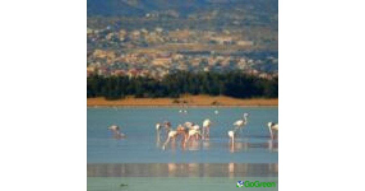 Περιβαλλοντική καταστροφή στον Ακρωτήρι – Ανεξέλεγκτη εισροή νερών και δυσοσμία στον υγρότοπο