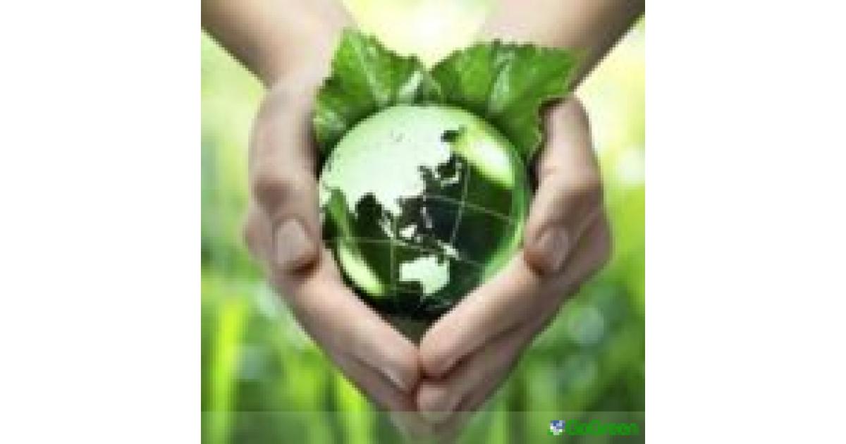 Environmental Caretakers: Το πρόγραμμα που μετατρέπει τους νέους σε φύλακες της φύσης στην Κύπρο