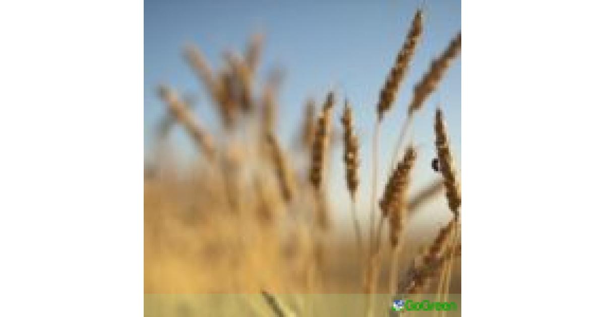 Η Κομισιόν καλεί Υπουργούς Γεωργίας ΕΕ σε άτυπη συνάντηση για επισιτιστική ασφάλεια